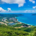 Vũng tàu ne